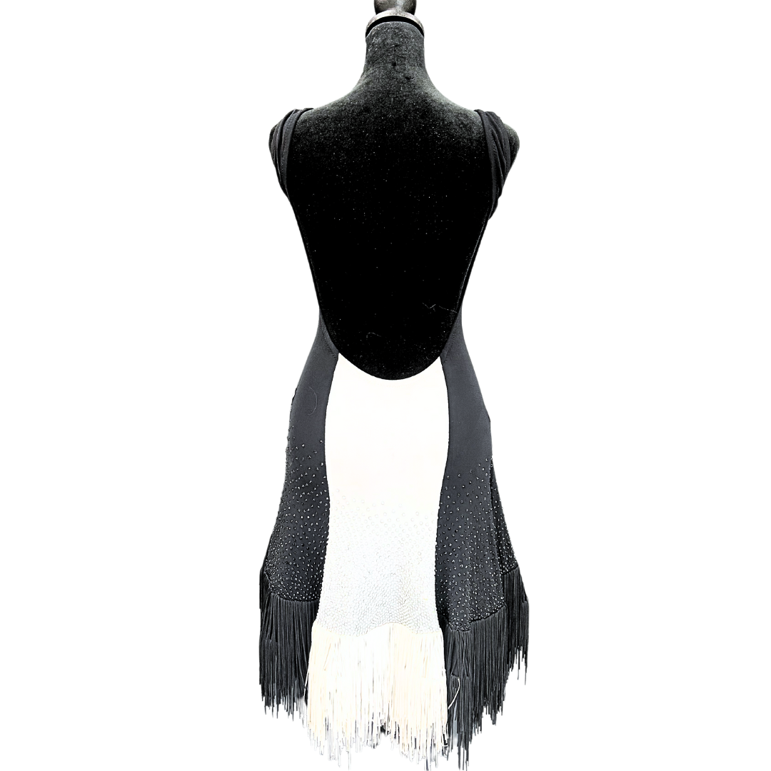 Vessa Black and White Fringe Skirt Dress image 1