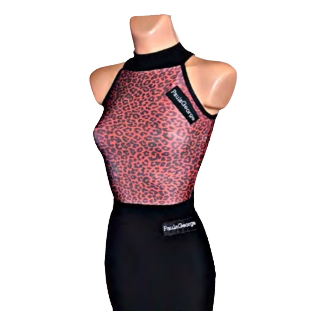 Cheetah Body