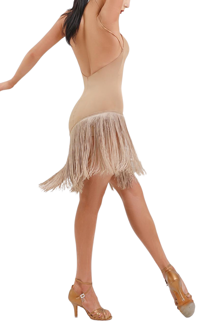 Bone Fringe Dress image 1