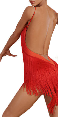 Oasis Fringe Dress #2420