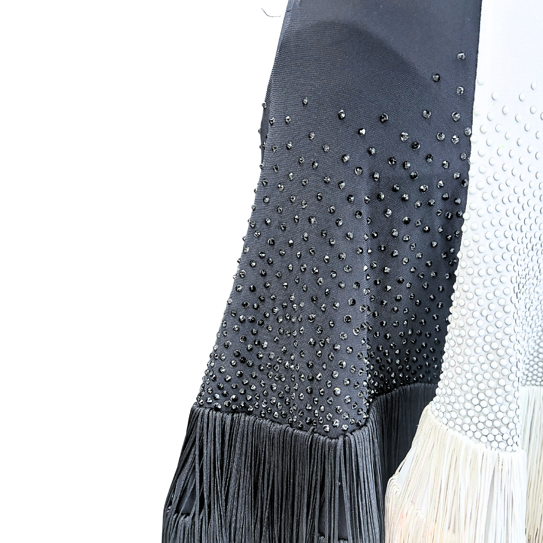 Vessa Black and White Fringe Skirt Dress image 2