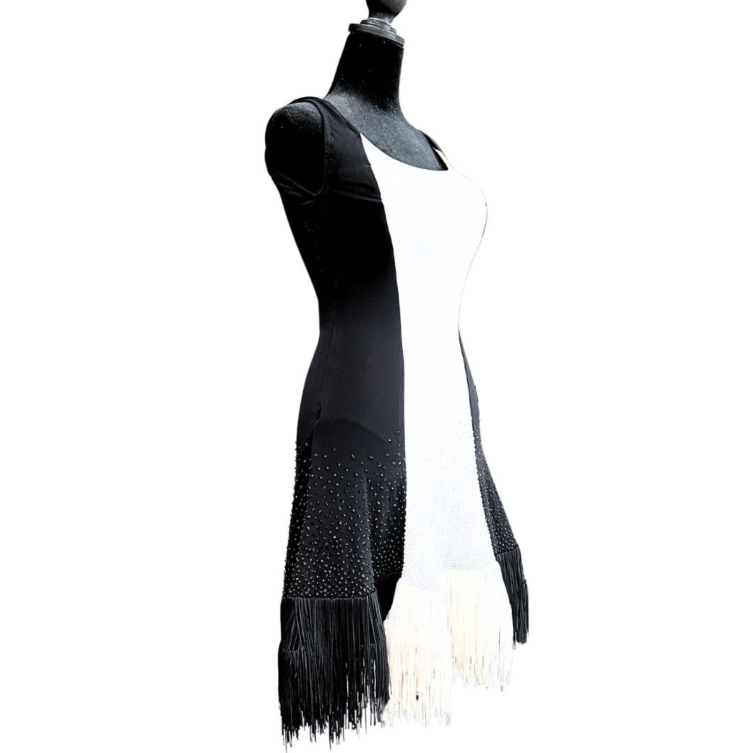 Vessa Black and White Fringe Skirt Dress image 0